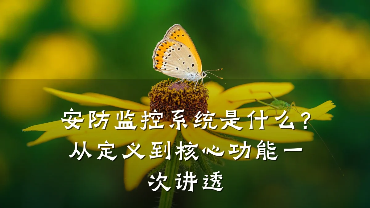 安防监控系统是什么?从定义到核心功能一次讲透