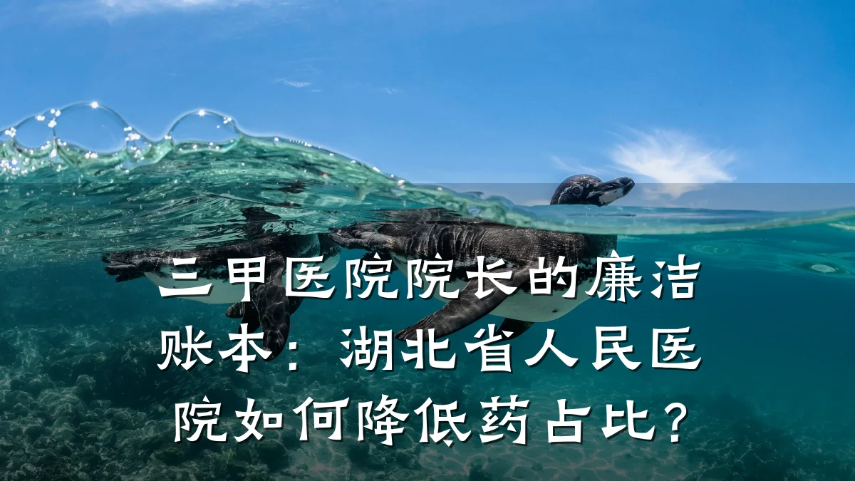 三甲医院院长的廉洁账本：湖北省人民医院如何降低药占比？