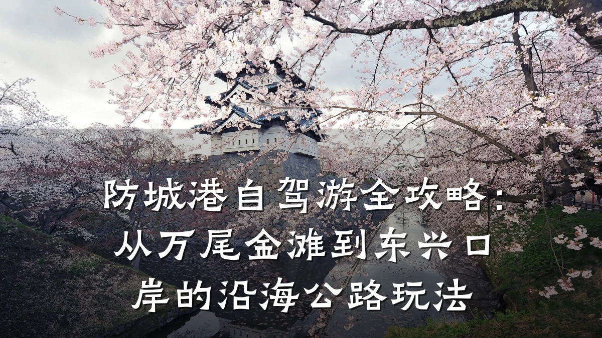 防城港自驾游全攻略:从万尾金滩到东兴口岸的沿海公路玩法