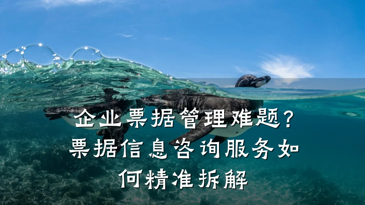 企业票据管理难题？票据信息咨询服务如何精准拆解