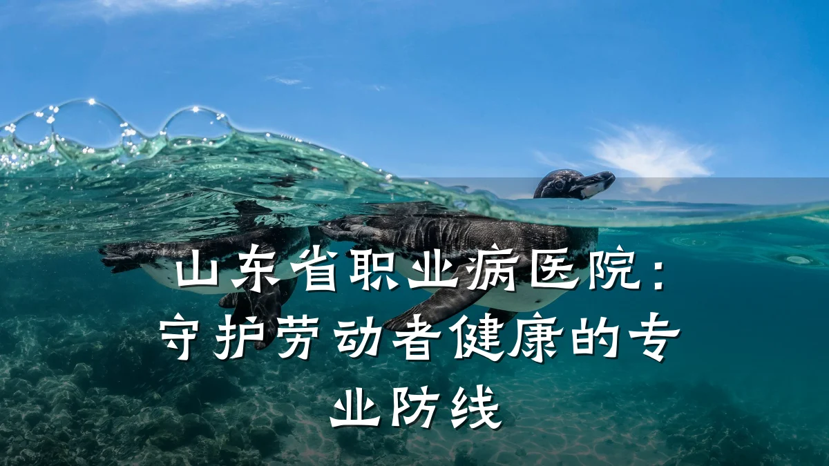 山东省职业病医院：守护劳动者健康的专业防线