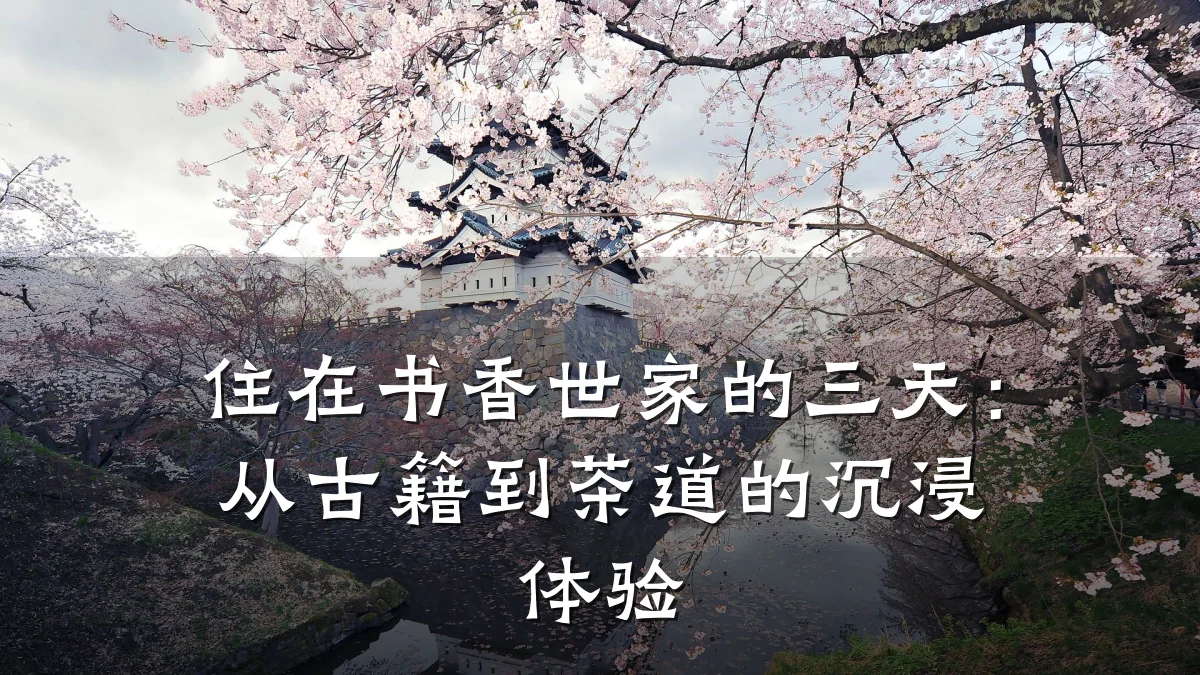 住在书香世家的三天:从古籍到茶道的沉浸体验