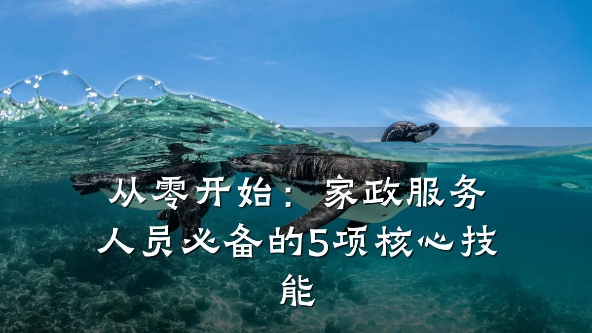 从零开始:家政服务人员必备的5项核心技能
