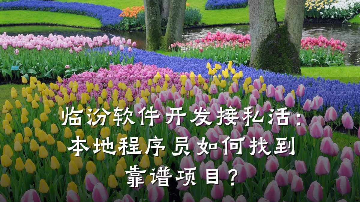 临汾软件开发接私活:本地程序员如何找到靠谱项目?
