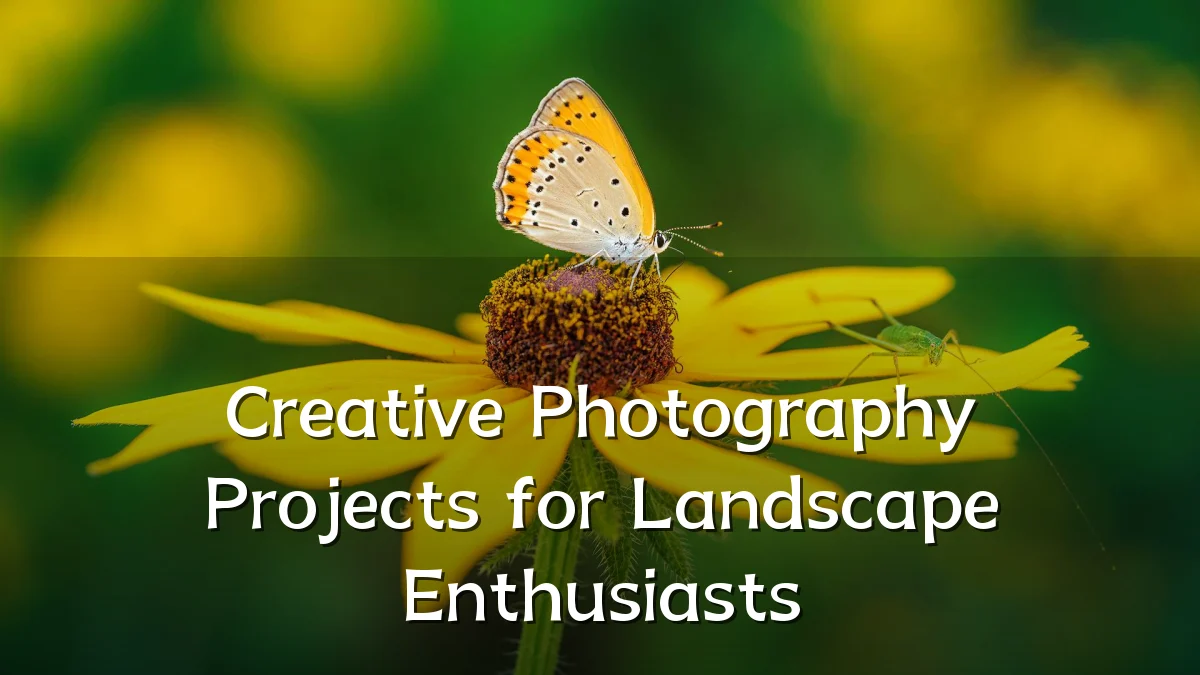Creative Photography Projects for Landscape Enthusiasts