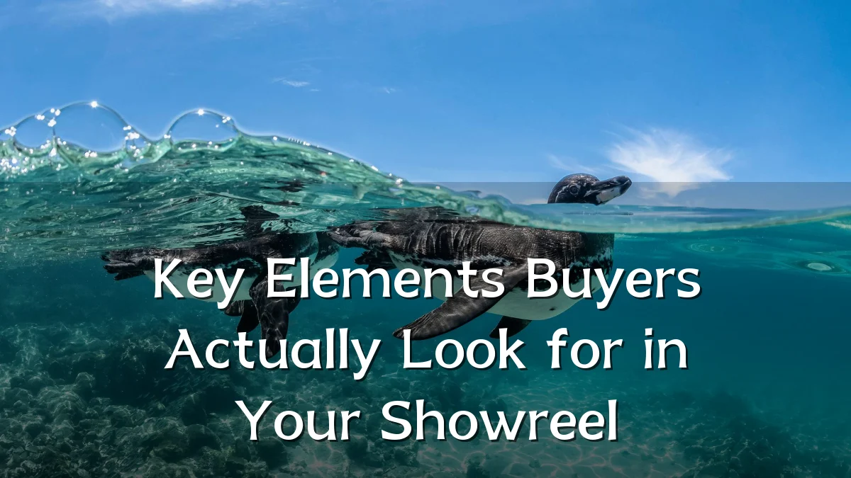 Key Elements Buyers Actually Look for in Your Showreel