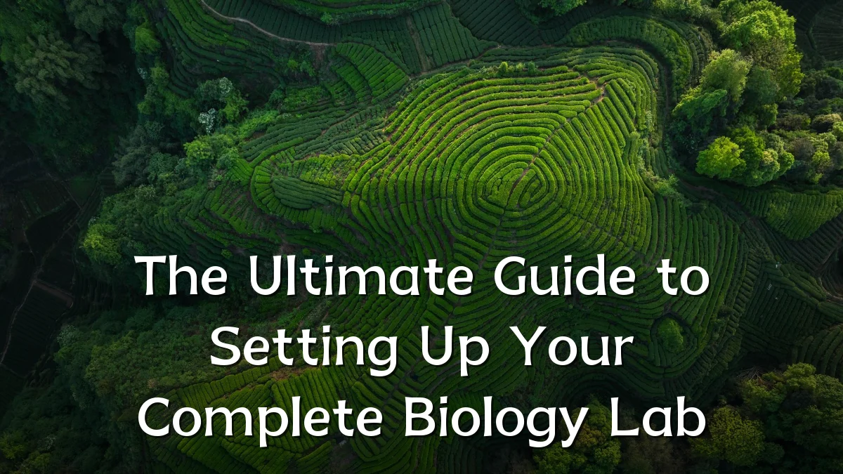 The Ultimate Guide to Setting Up Your Complete Biology Lab