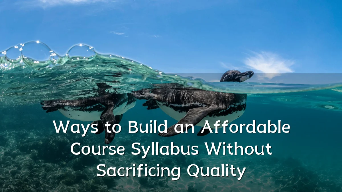 Ways to Build an Affordable Course Syllabus Without Sacrificing Quality