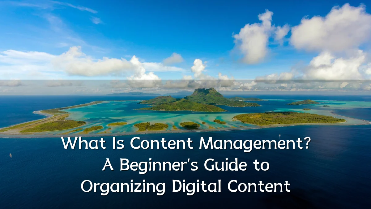 What Is Content Management? A Beginner's Guide to Organizing Digital Content