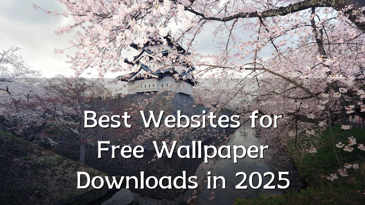 Best Websites for Free Wallpaper Downloads in 2025