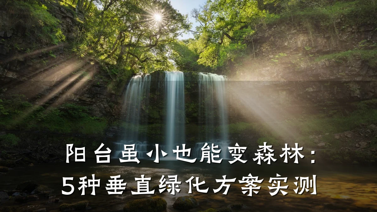 阳台虽小也能变森林:5种垂直绿化方案实测