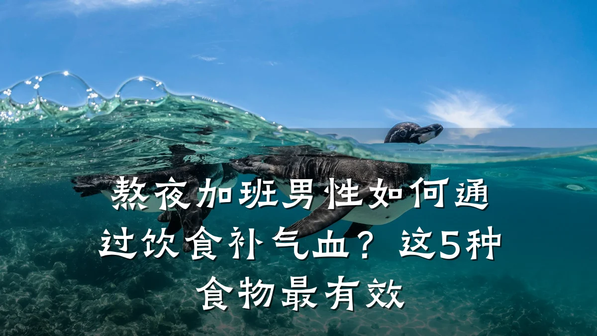 熬夜加班男性如何通过饮食补气血?这5种食物最有效