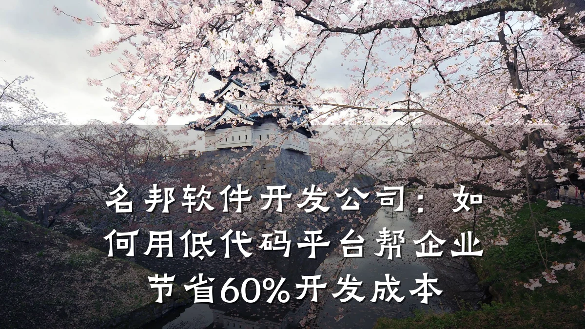 名邦软件开发公司：如何用低代码平台帮企业节省60%开发成本