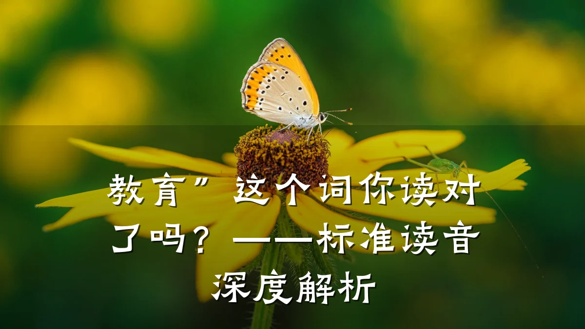 教育”这个词你读对了吗?——标准读音深度解析