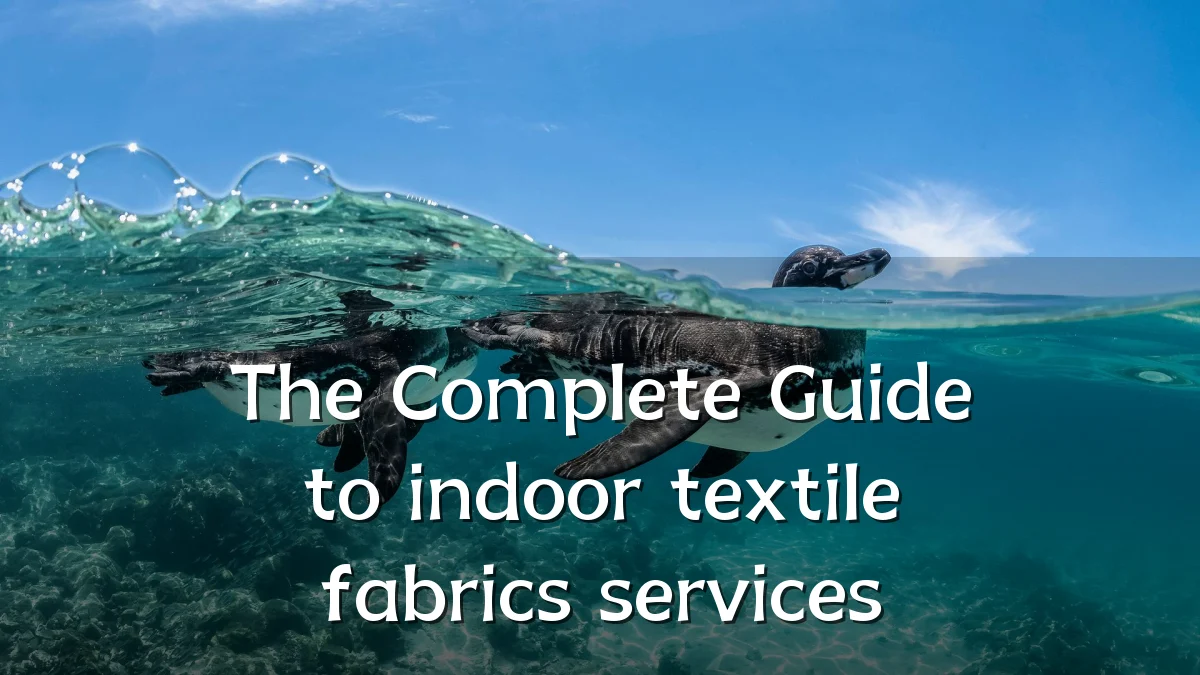 The Complete Guide to indoor textile fabrics services