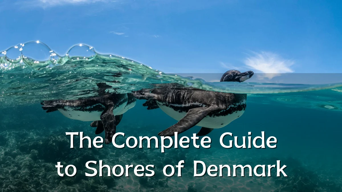 The Complete Guide to Shores of Denmark