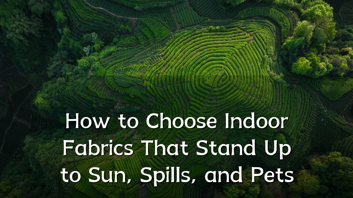 How to Choose Indoor Fabrics That Stand Up to Sun, Spills, and Pets