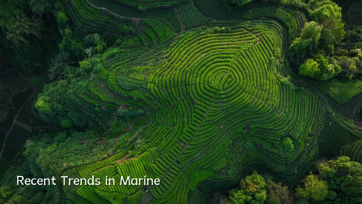 Recent Trends in Marine
