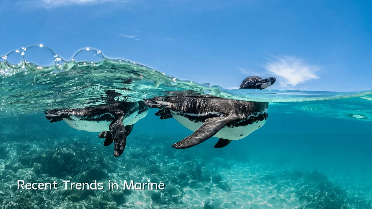 Recent Trends in Marine