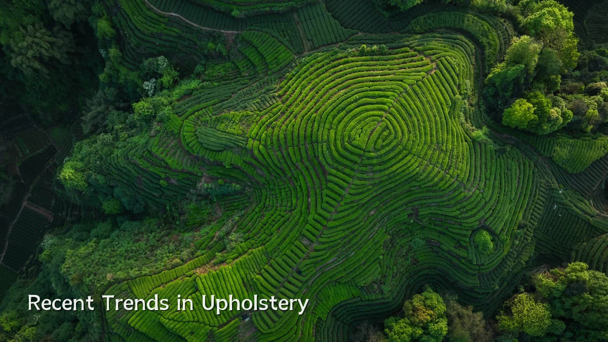 Recent Trends in Upholstery