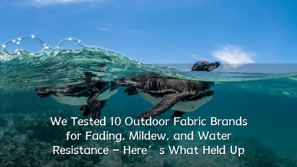 We Tested 10 Outdoor Fabric Brands for Fading, Mildew, and Water Resistance – Here’s What Held Up