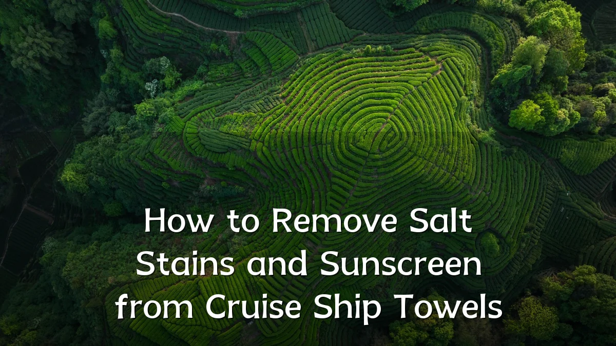 How to Remove Salt Stains and Sunscreen from Cruise Ship Towels
