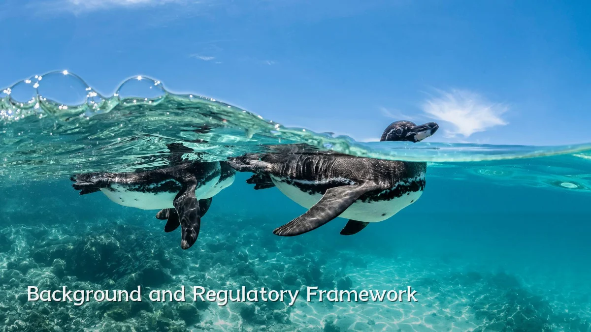 Background and Regulatory Framework