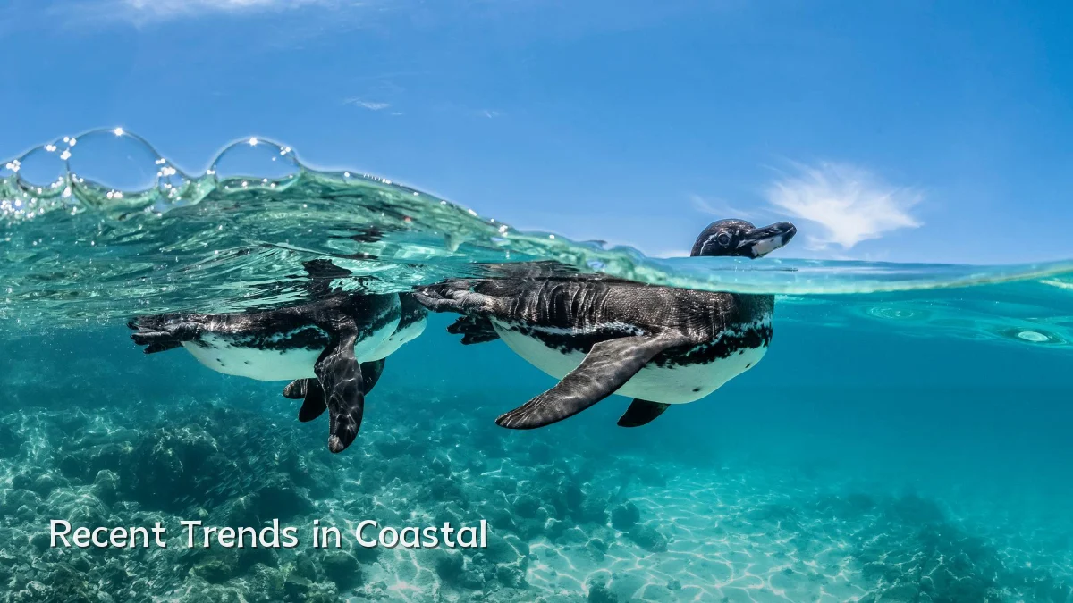 Recent Trends in Coastal
