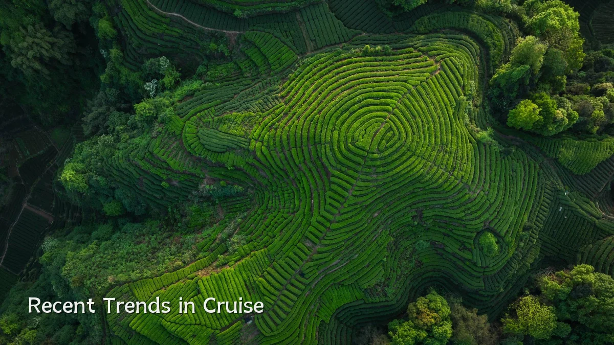 Recent Trends in Cruise