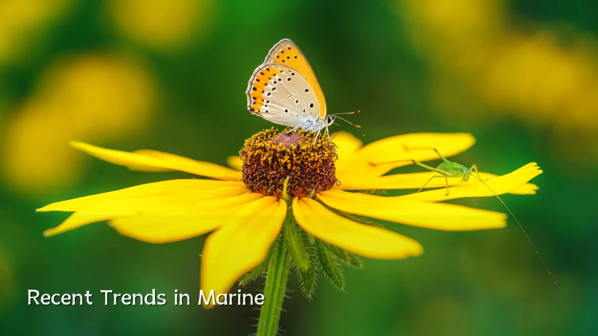 Recent Trends in Marine