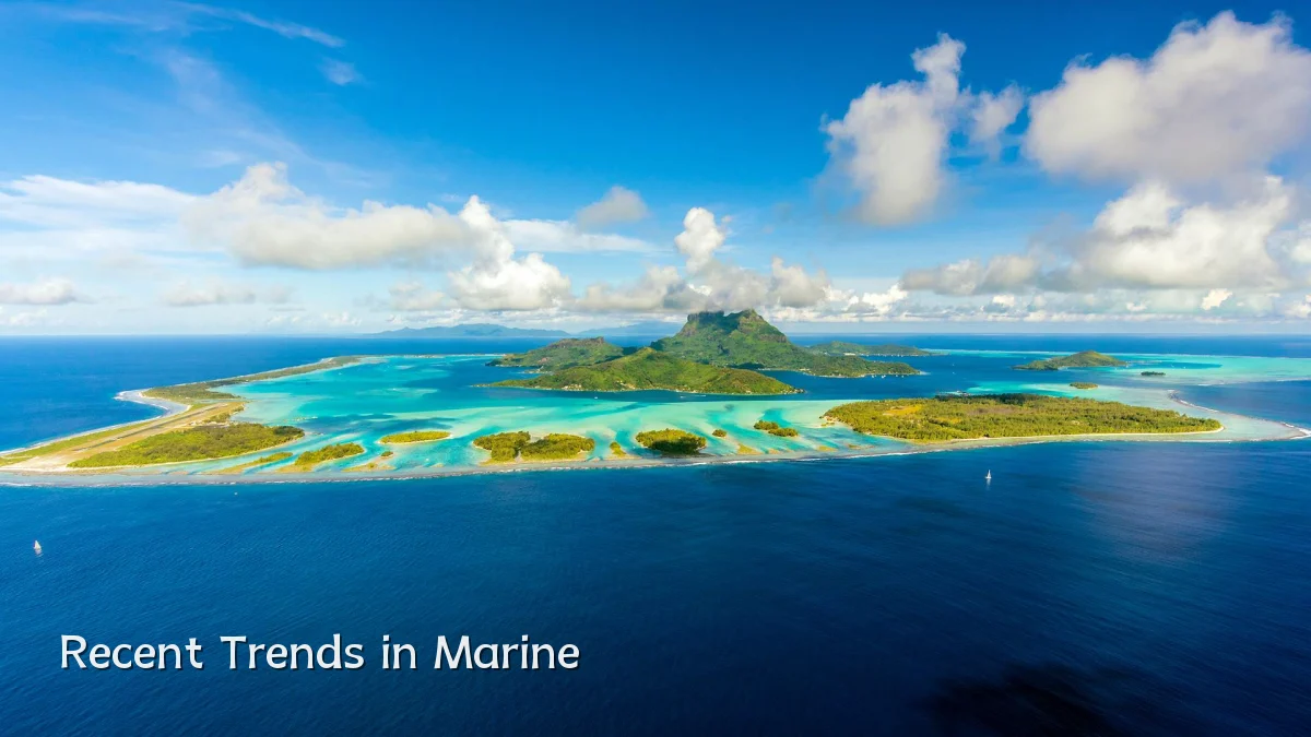 Recent Trends in Marine