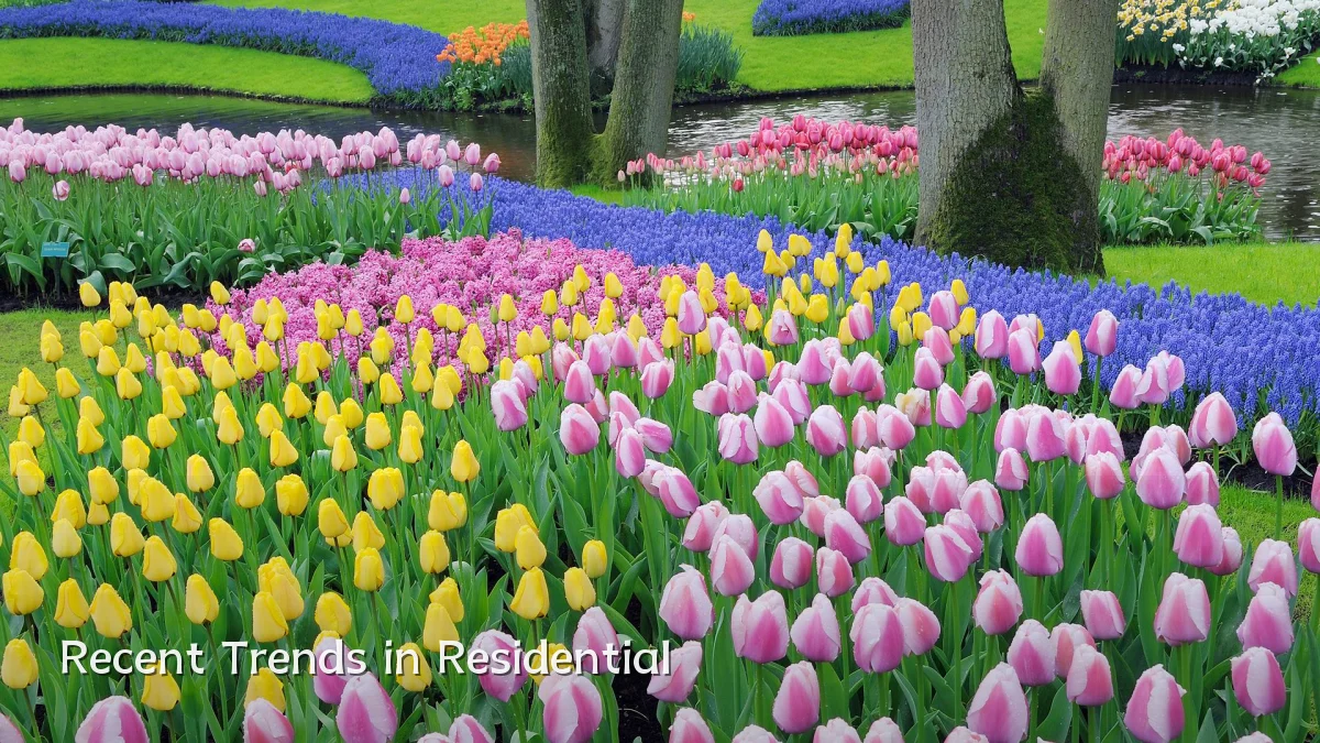 Recent Trends in Residential