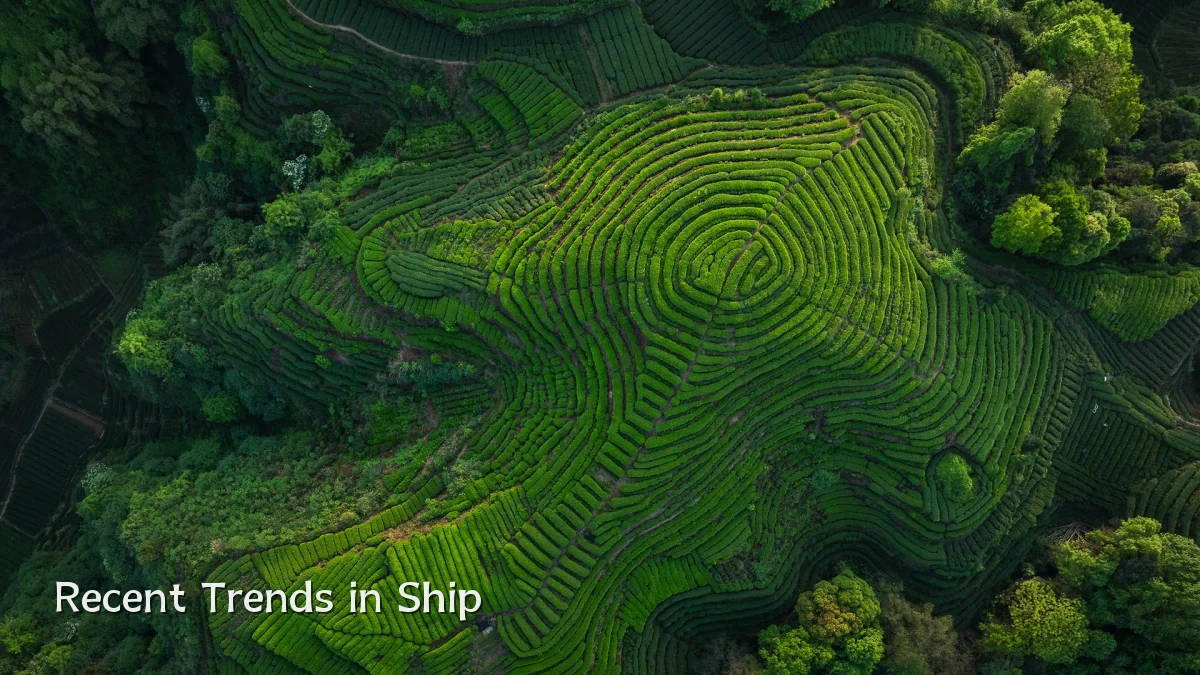 Recent Trends in Ship