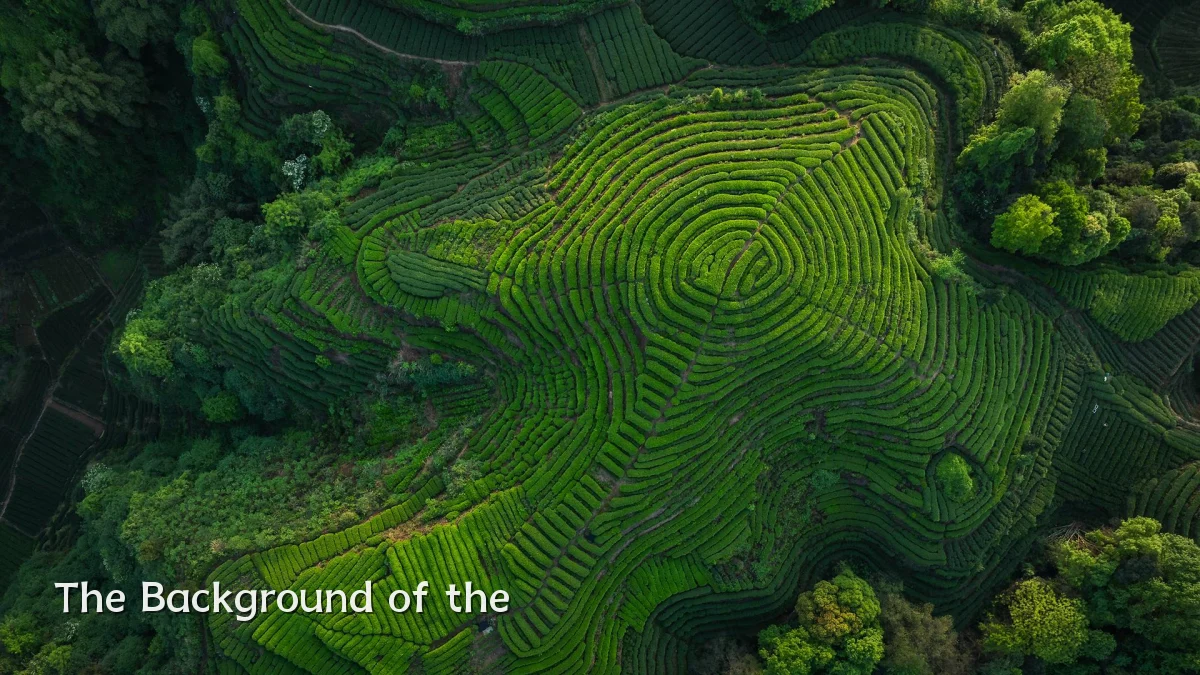 The Background of the