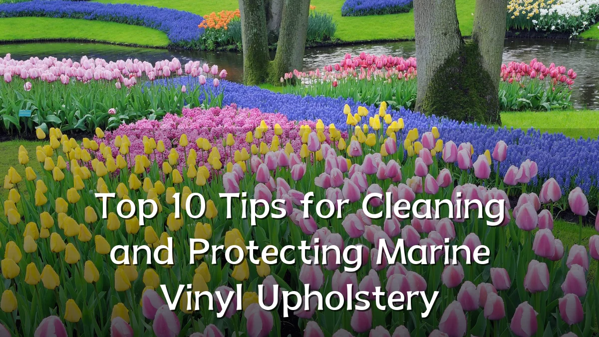 Top 10 Tips for Cleaning and Protecting Marine Vinyl Upholstery