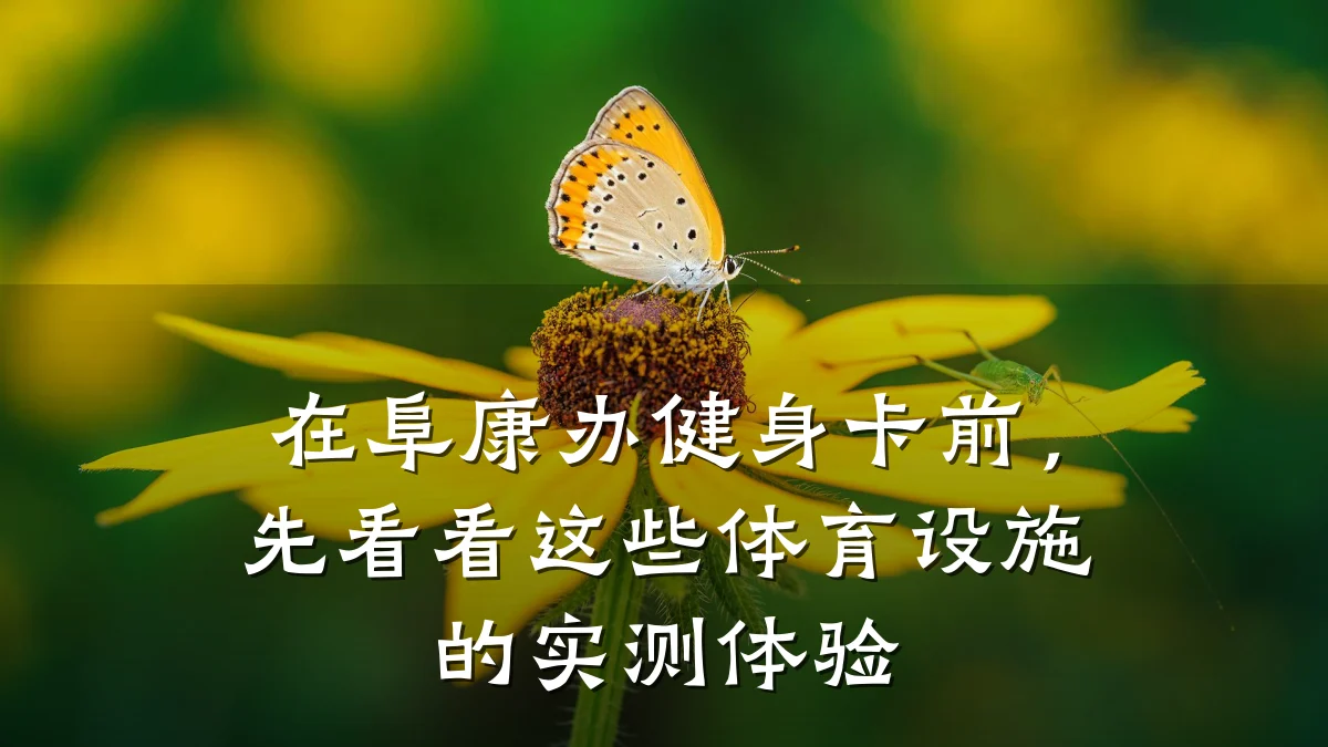 在阜康办健身卡前,先看看这些体育设施的实测体验